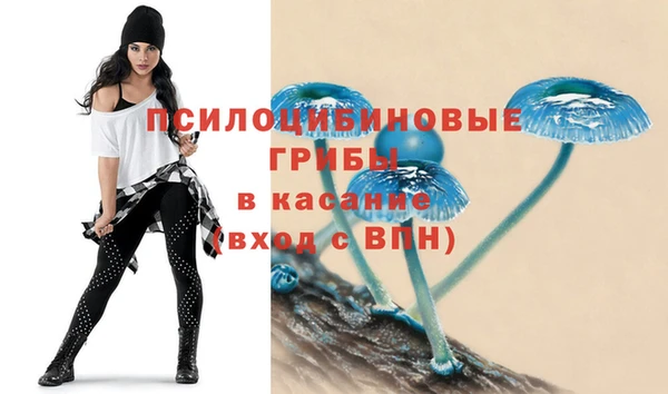MESCALINE Баксан